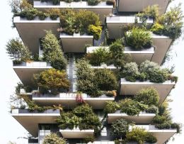 Bosco Verticale Bepflanzung